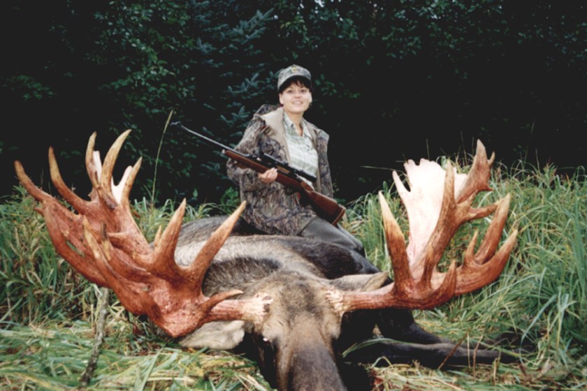 biggest moose kills alaska moose