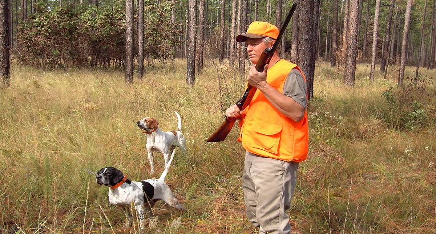 Hunting Dog Names