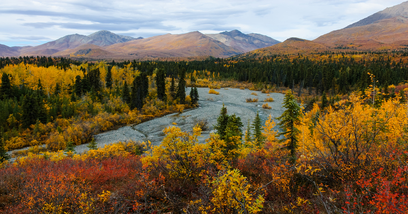 Fall colors in Wrangell-St. Elias National Park & Preserve