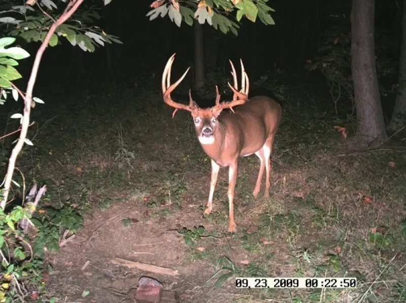 trail cam