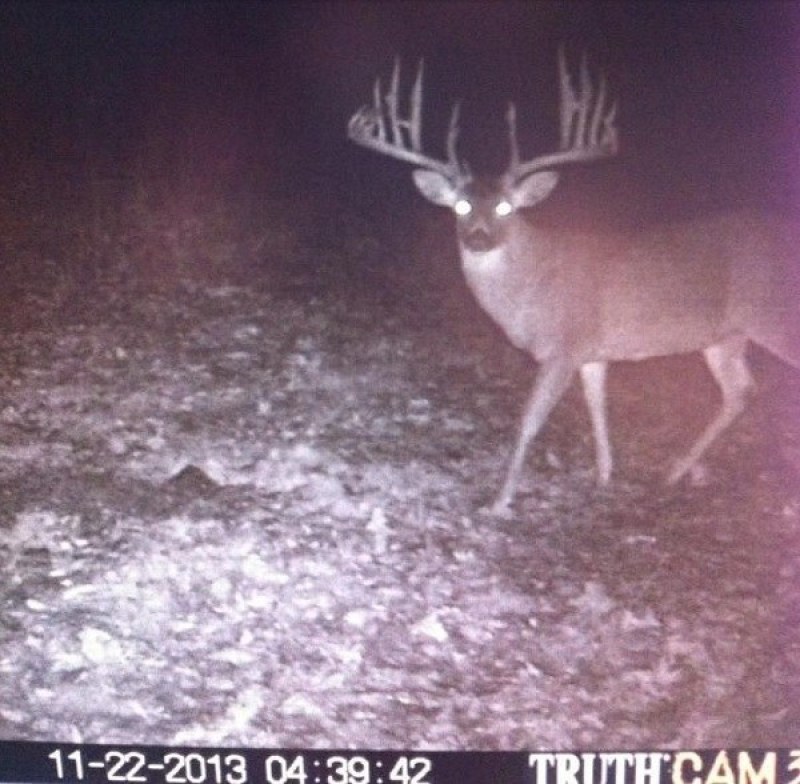 trail cam