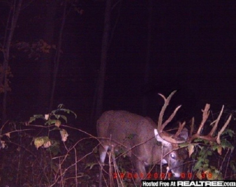 trail cam