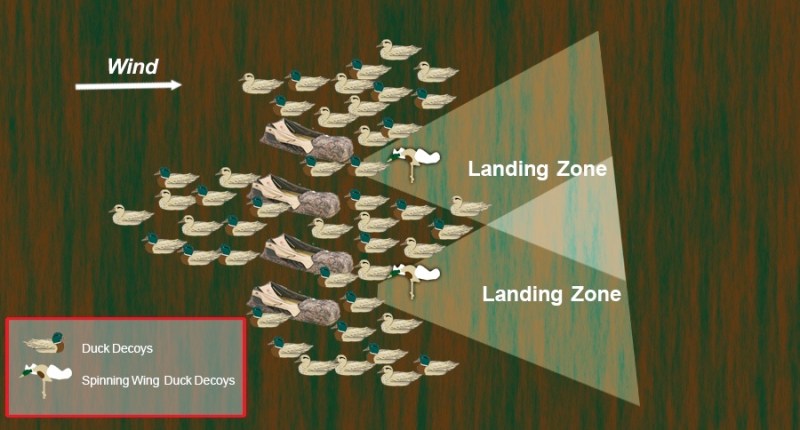 duck decoy spreads