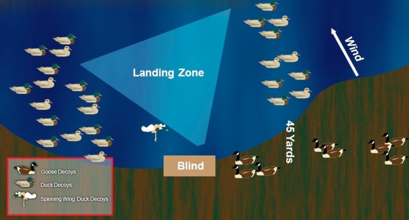 duck decoy spreads