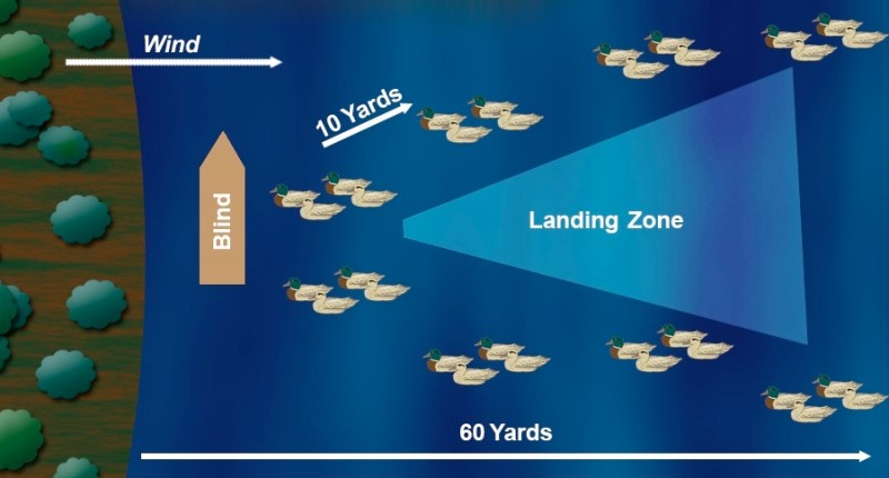 duck decoy spreads