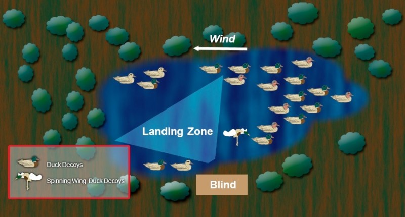 duck decoy spreads