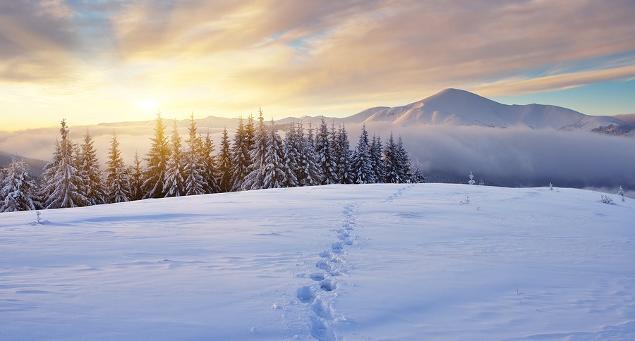Winter landscape with sunrise in the mountains. The path in the snow. Carpathians, Ukraine, Europe
