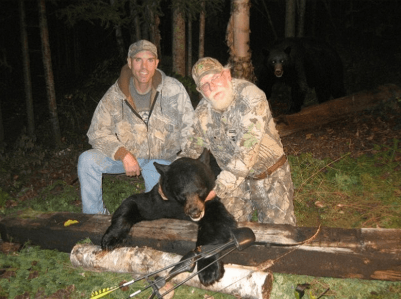 black bears