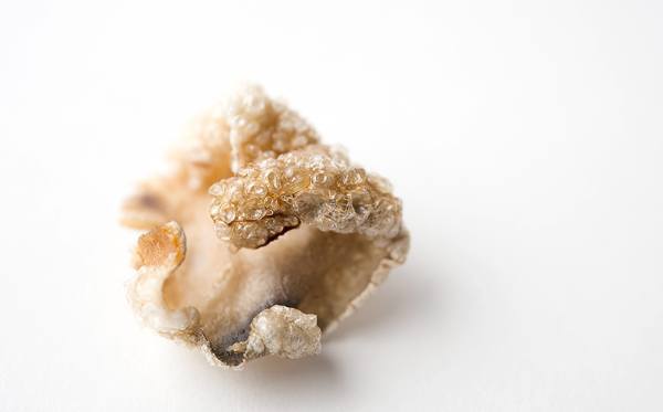 Fish Skin Chicharron. Image by Holly A. Heyser