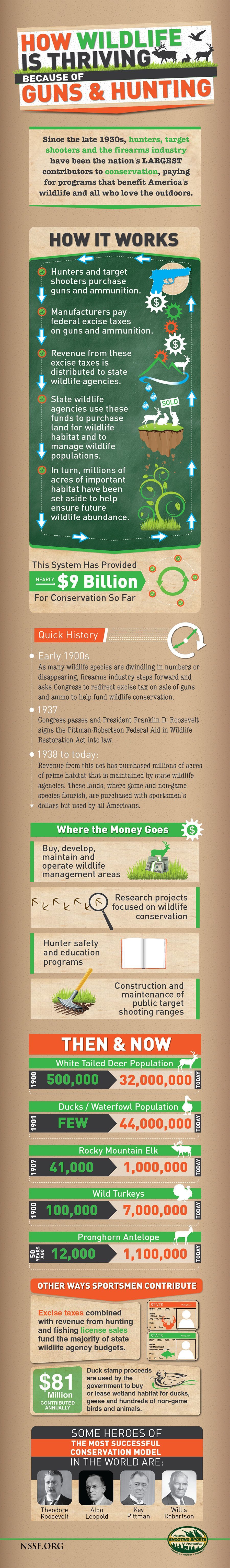 Infographic 1