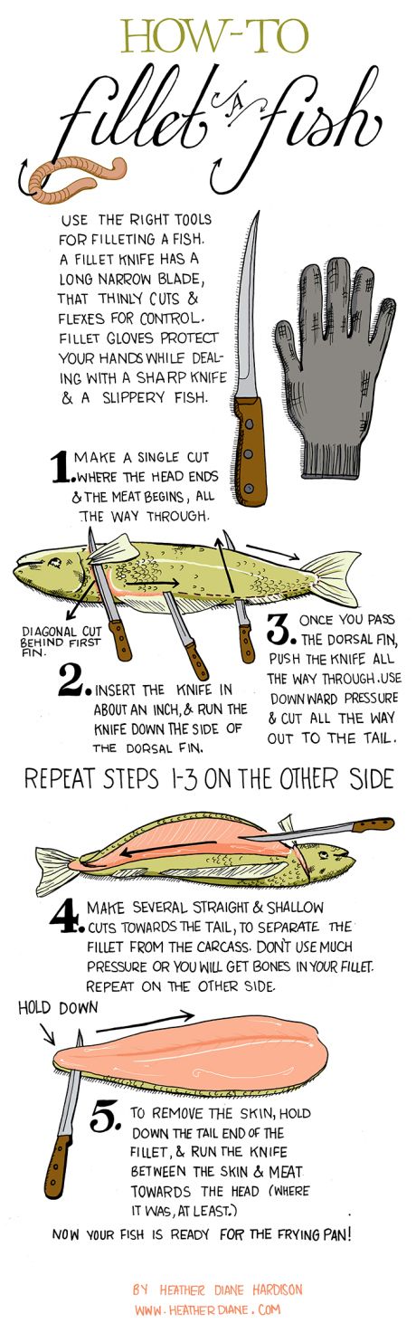 infographic 4