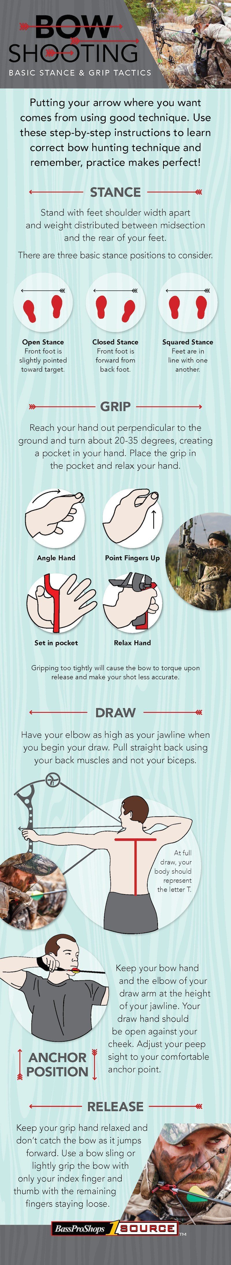 infographic 6