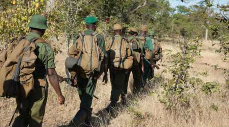 Luangwa National Park Anti-Poaching Anti-Snaring Patrol