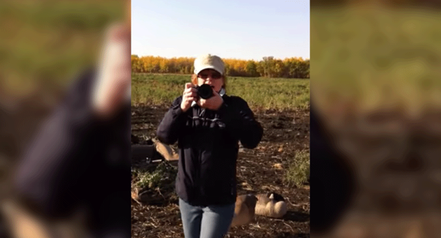 Anti Hunter Goose Encounter Video