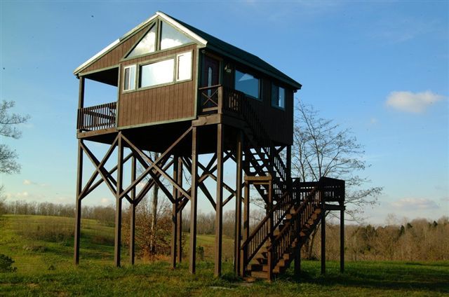 Elevated Home