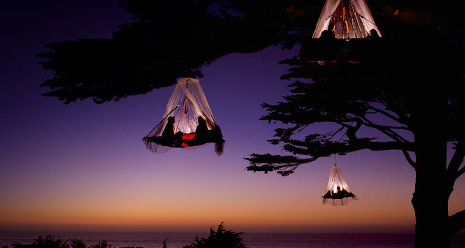 tree tent