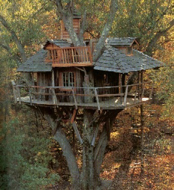 treehouse