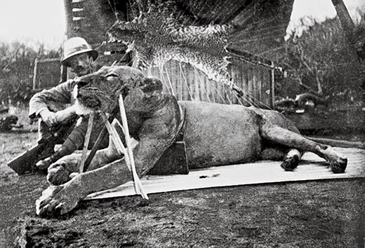 Colonel_Patterson_with_Tsavo-Lion