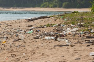 Dirty beach on the island of Little Andaman in the Indian Ocean littered with plastic. Pollution of coastal ecosystems, natural plastic and beaches.