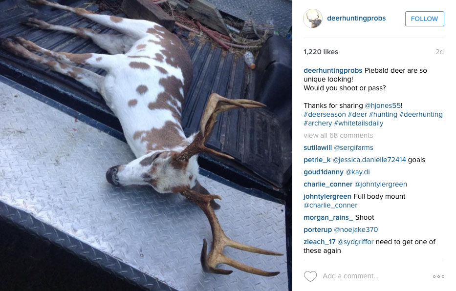 Instagram/DeerHuntingProbs