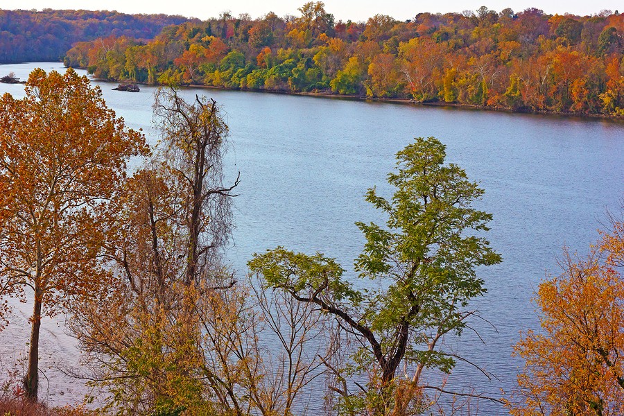 Potomac River with trees in autumn colors in Washington DC USA.