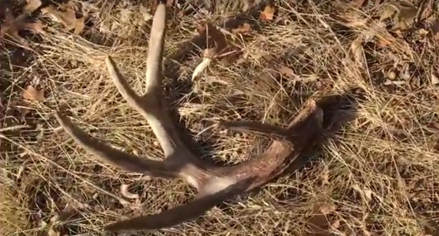 massive shed found on public land