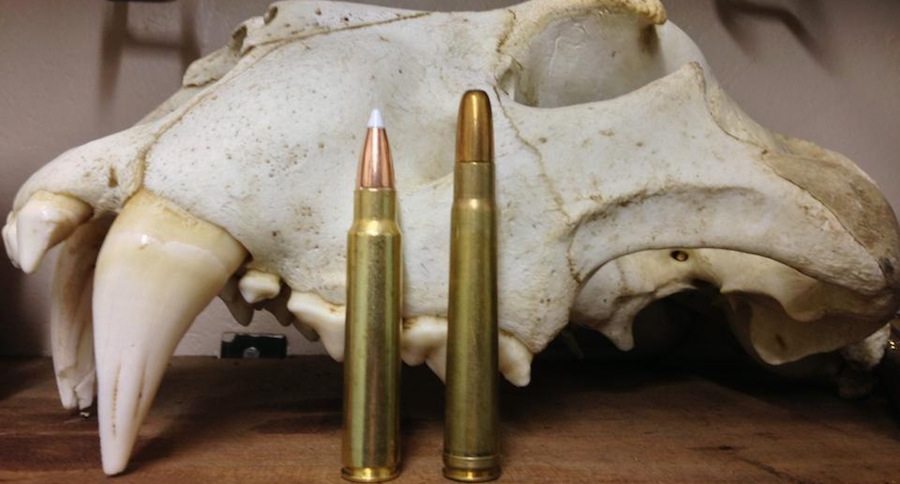 Rifle Cartridges For Hunting