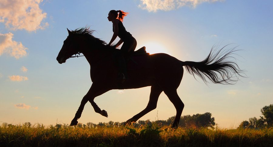 Horseback Riding Lesson Smith Mountain Lake