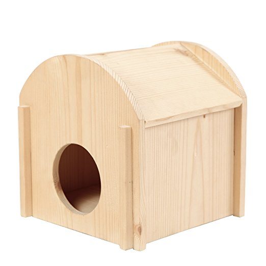 Hedgehog House