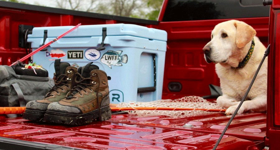 21 inspiring photos of hunting dogs