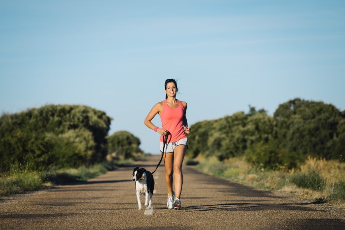 Sporty Woman And Dog 