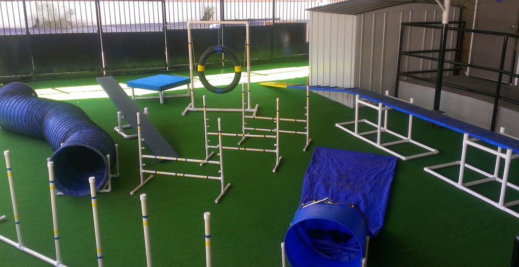 Agility_course