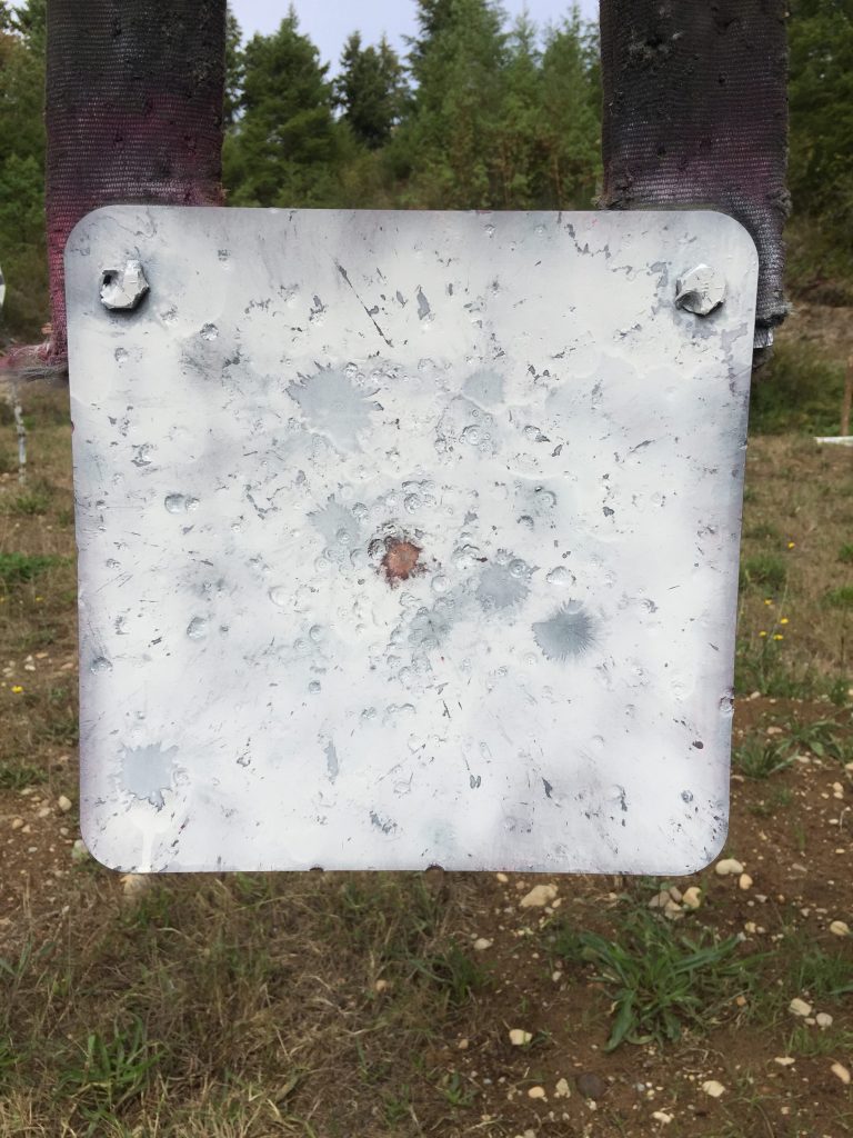 Here's How Ruger's New Hawkeye FTW Hunter Did At The Range 500 yards