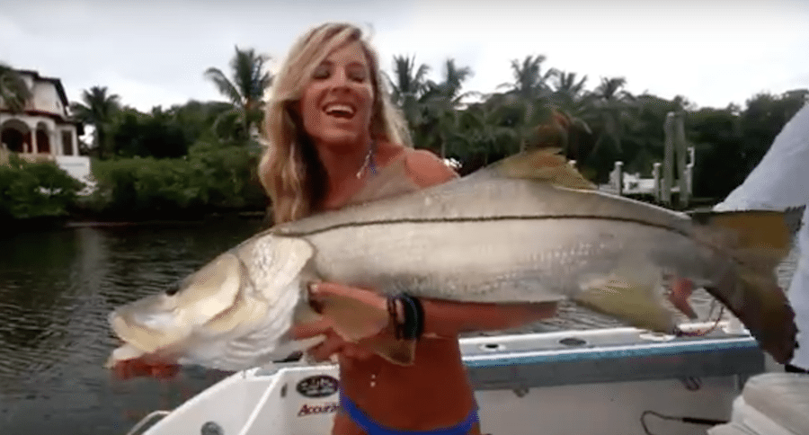 darcie big snook