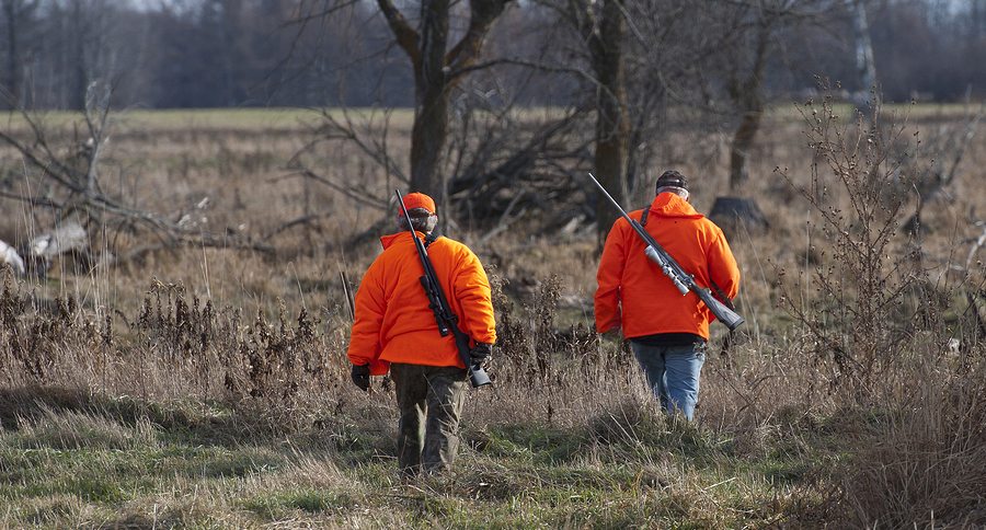 wisconsin dnr