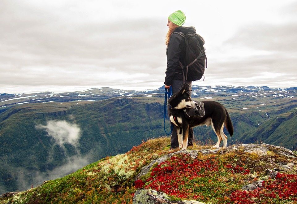 hiking with your dog