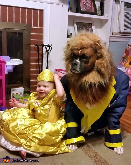 beauty and the beast dog halloween costume