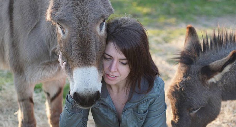 Peaceful Valley Donkey Rescue's Adoption Center a Huge Success