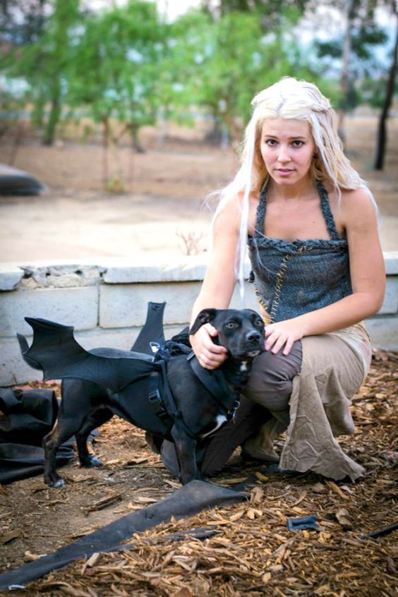 game of thrones dog halloween costume