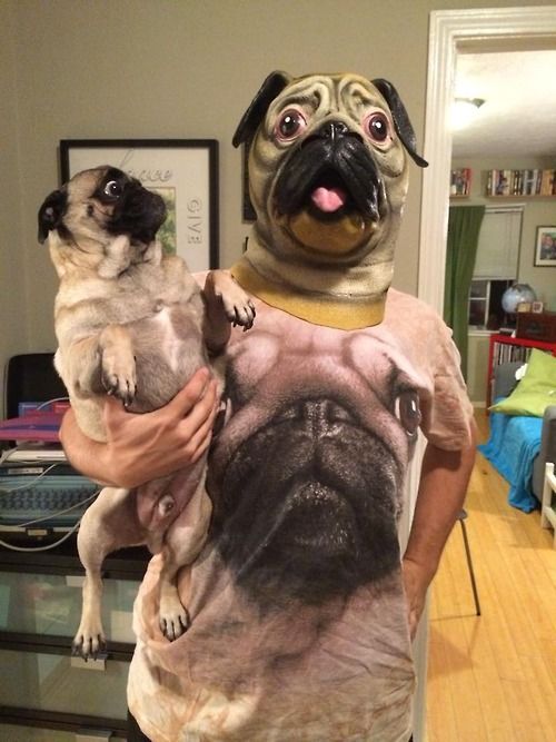 pugs costume