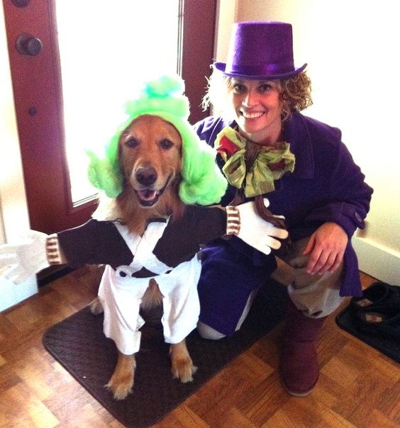 willy wonka dog halloween costume