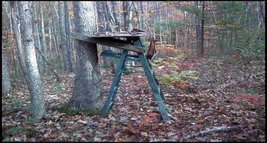 15 Photos That Display the Mystery Behind Old Treestands - Wide Open Spaces