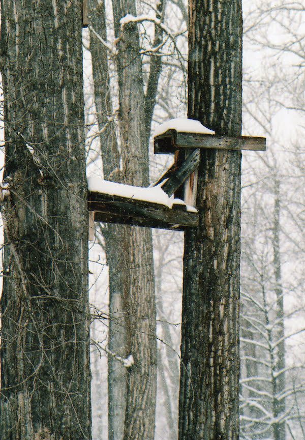 old treestands