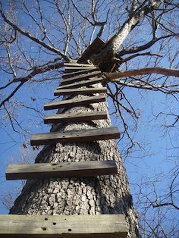 old treestands