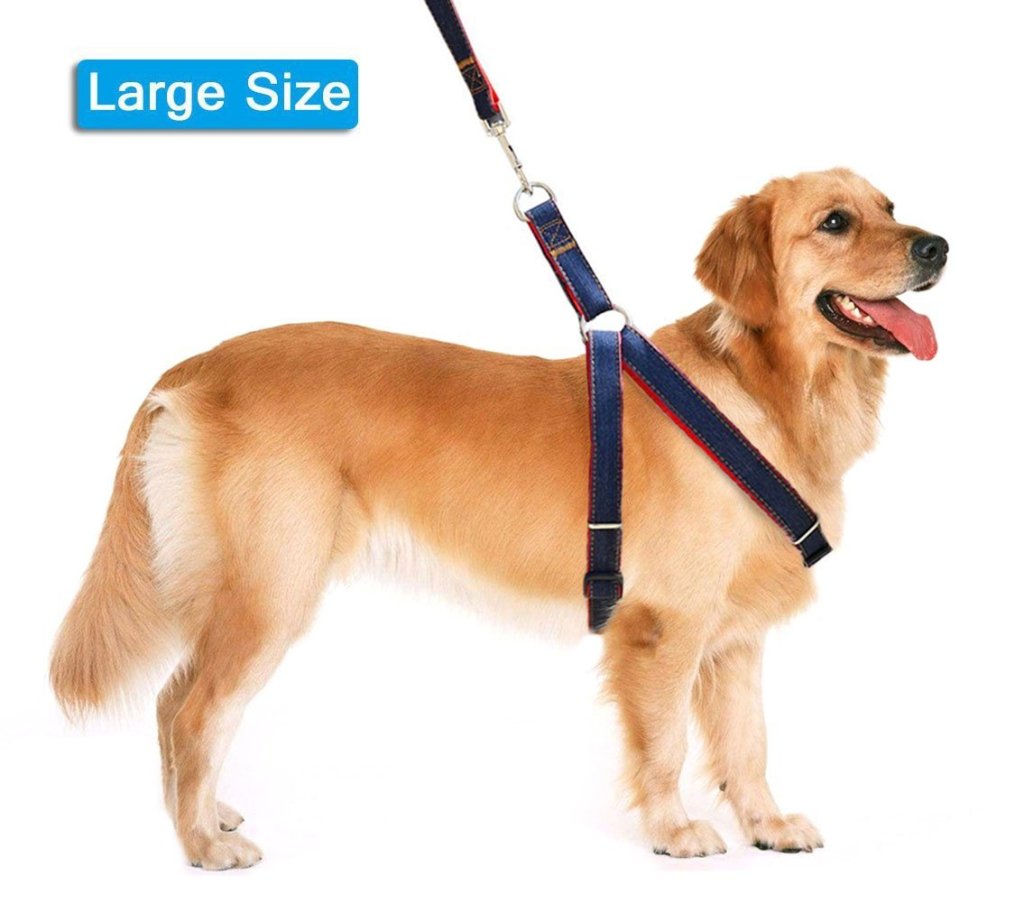 dog harness