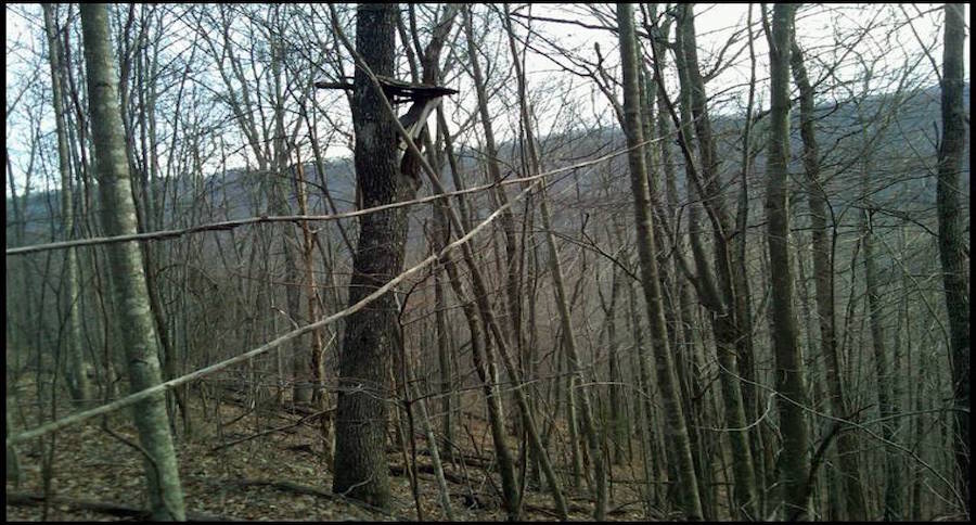 old treestands