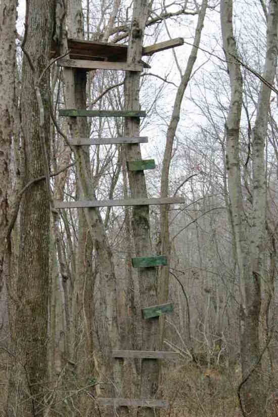 old treestands