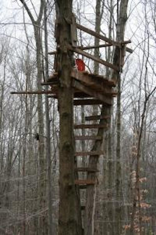 old treestands