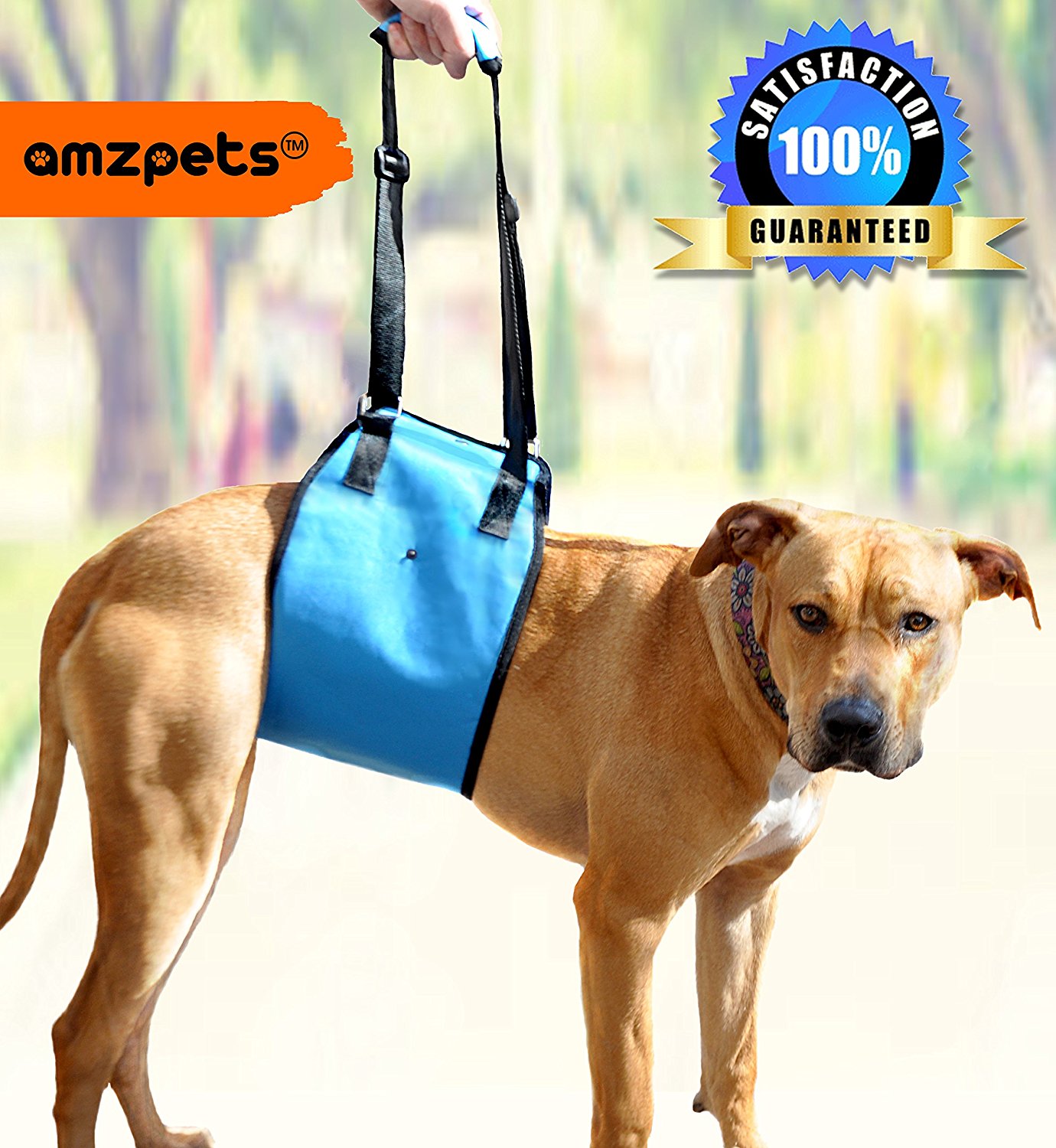 dog sling harness