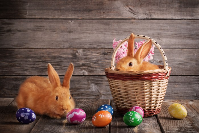 rabbits with Easter eggs on wooden background